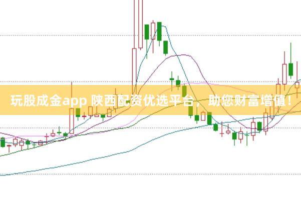 玩股成金app 陕西配资优选平台，助您财富增值！