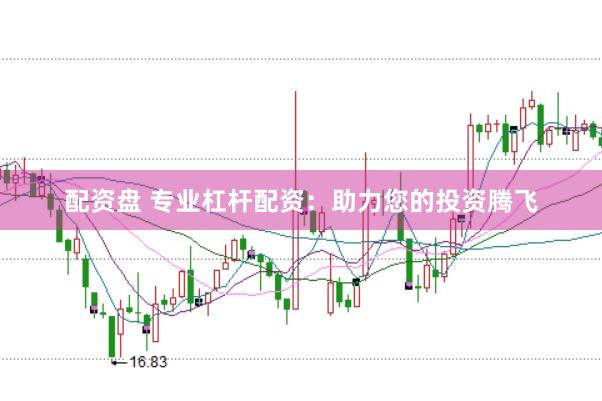 配资盘 专业杠杆配资:助力您的投资腾飞
